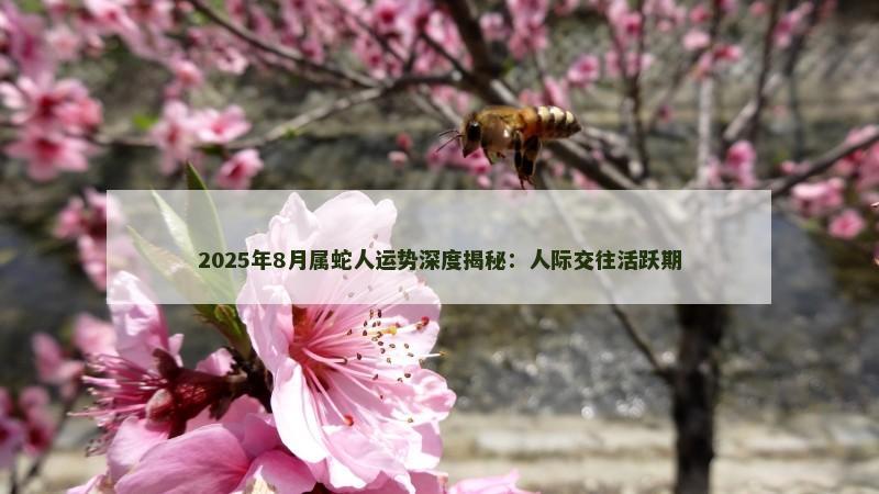 2025年8月属蛇人运势深度揭秘：人际交往活跃期