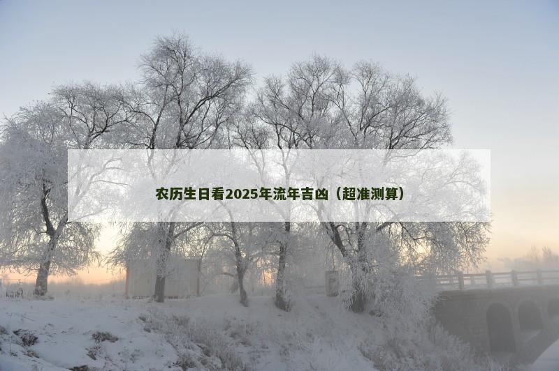 农历生日看2025年流年吉凶（超准测算）