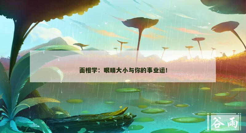 面相学：眼睛大小与你的事业运！