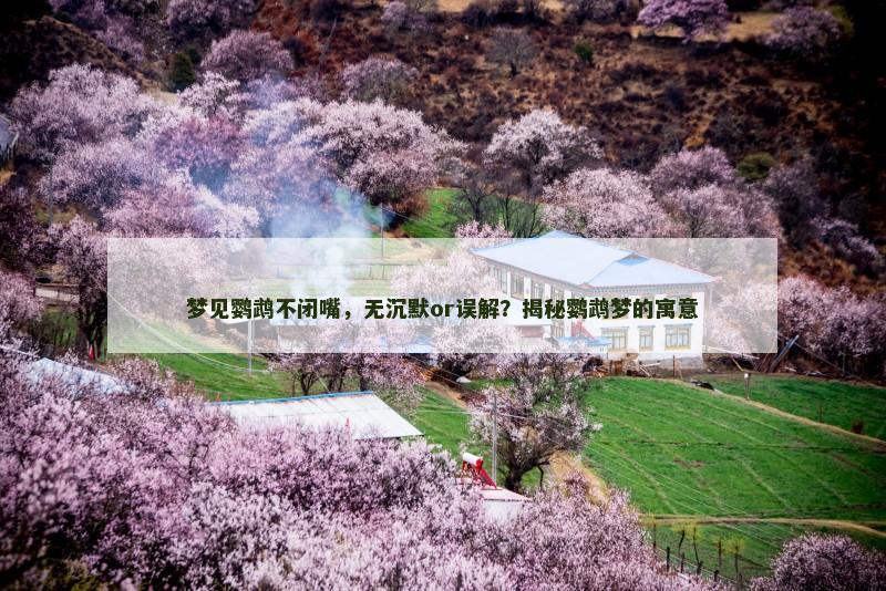 梦见鹦鹉不闭嘴，无沉默or误解？揭秘鹦鹉梦的寓意