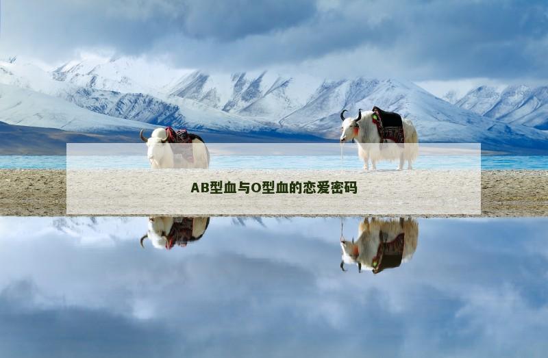 AB型血与O型血的恋爱密码