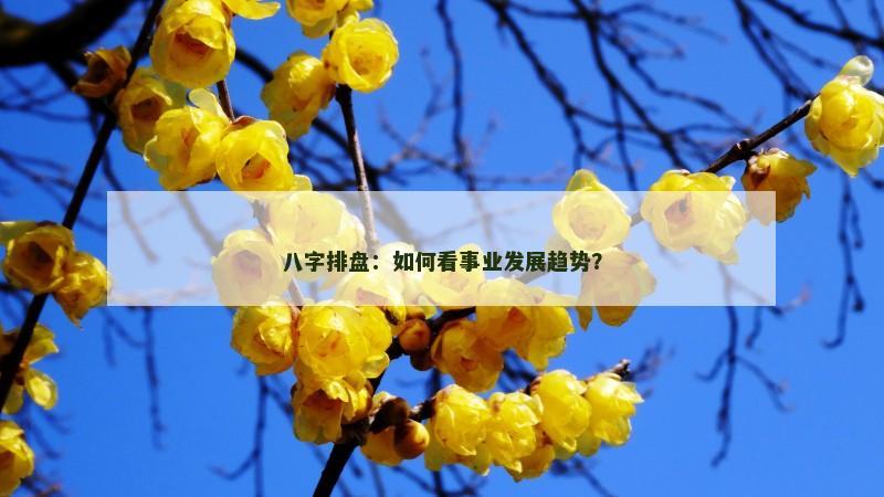 八字排盘：如何看事业发展趋势？