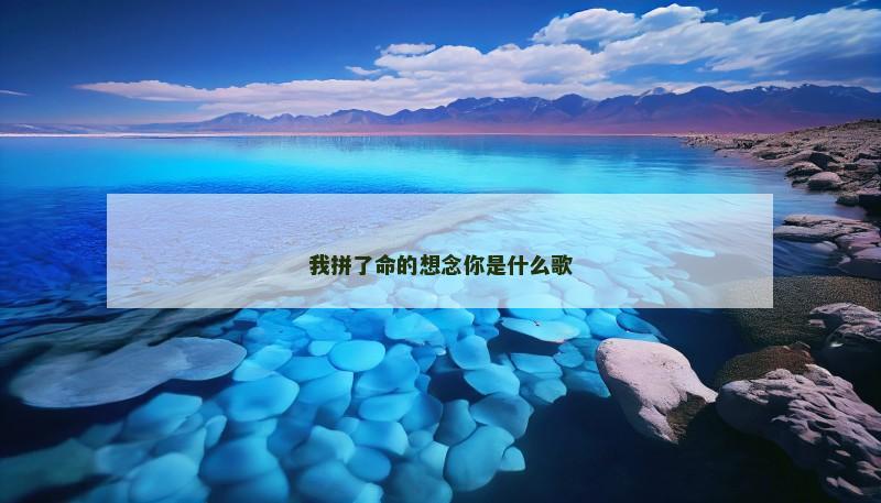 我拼了命的想念你是什么歌