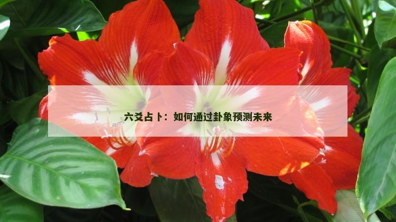 六爻占卜：如何通过卦象预测未来