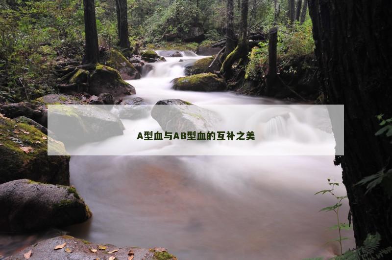 A型血与AB型血的互补之美