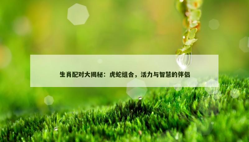 生肖配对大揭秘：虎蛇组合，活力与智慧的伴侣