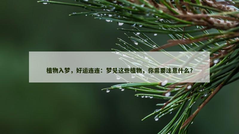 植物入梦，好运连连：梦见这些植物，你需要注意什么？