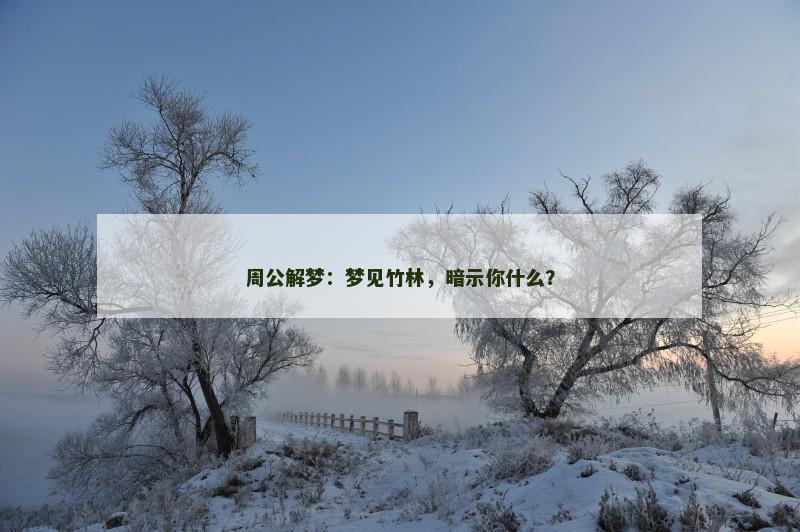 周公解梦：梦见竹林，暗示你什么？