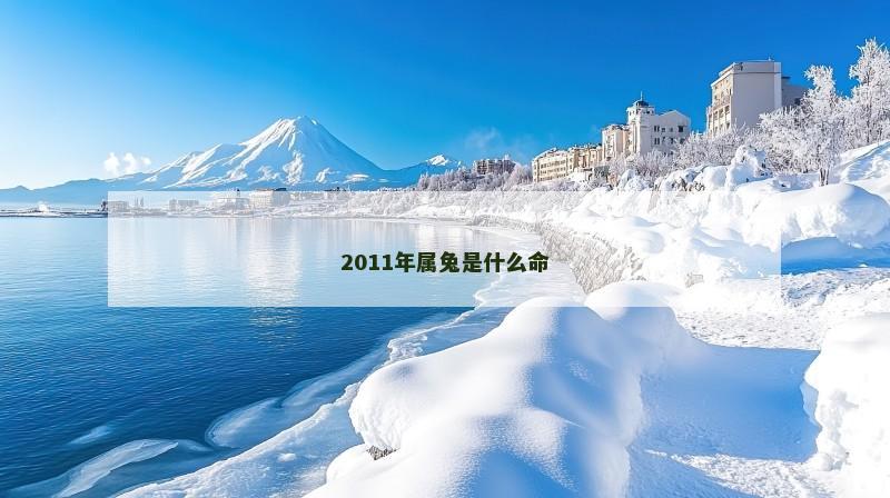 2011年属兔是什么命