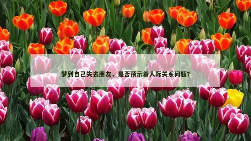 梦到自己失去朋友，是否预示着人际关系问题？