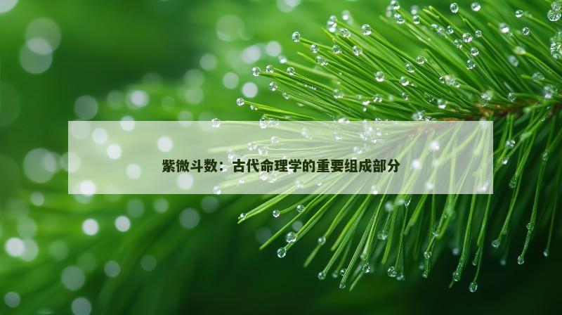 紫微斗数：古代命理学的重要组成部分