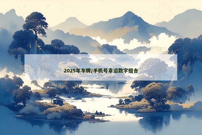 2025年车牌/手机号幸运数字组合