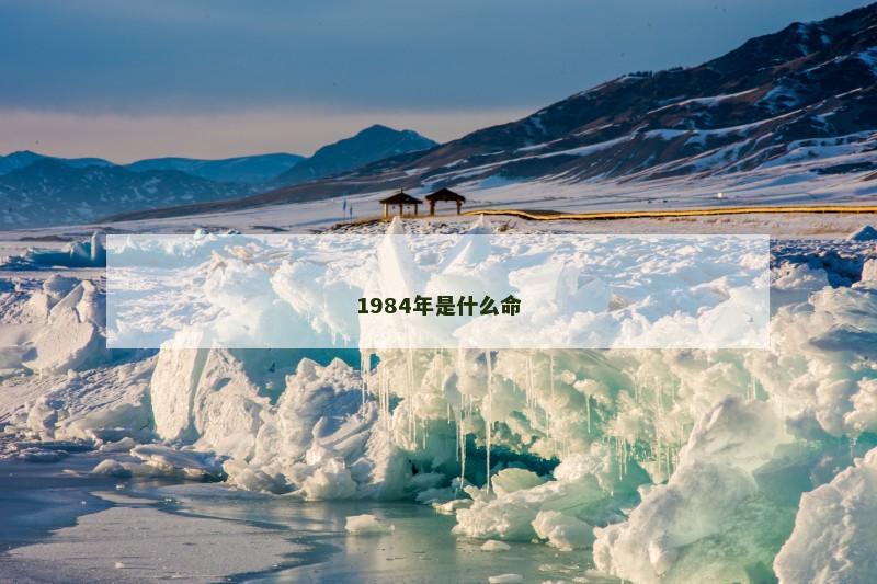 1984年是什么命