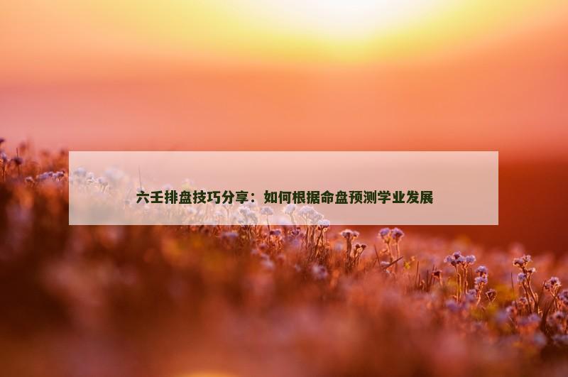六壬排盘技巧分享：如何根据命盘预测学业发展