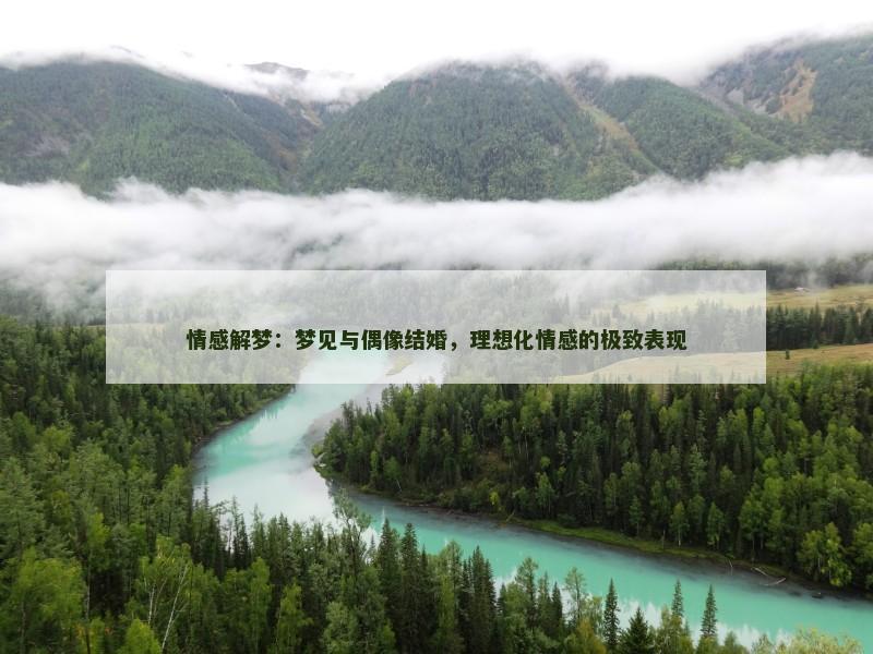 情感解梦：梦见与偶像结婚，理想化情感的极致表现