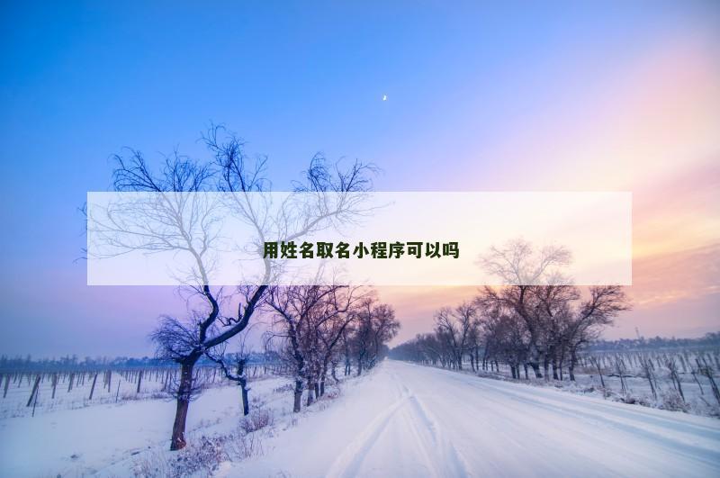 用姓名取名小程序可以吗
