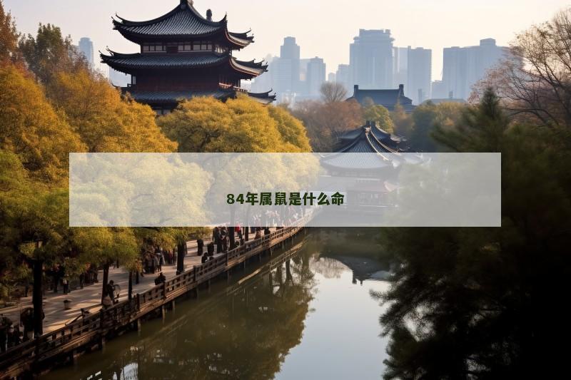 84年属鼠是什么命
