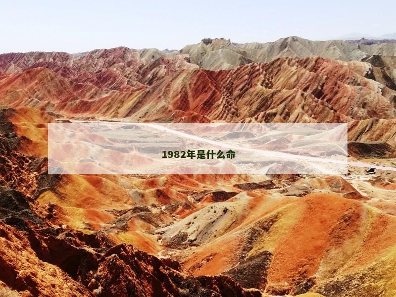 1982年是什么命