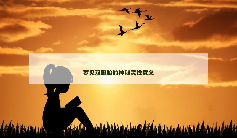 梦见双胞胎的神秘灵性意义