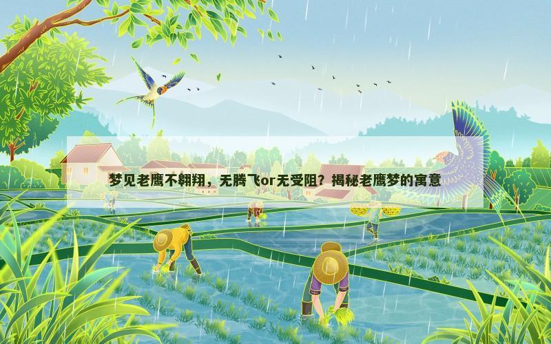 梦见老鹰不翱翔，无腾飞or无受阻？揭秘老鹰梦的寓意