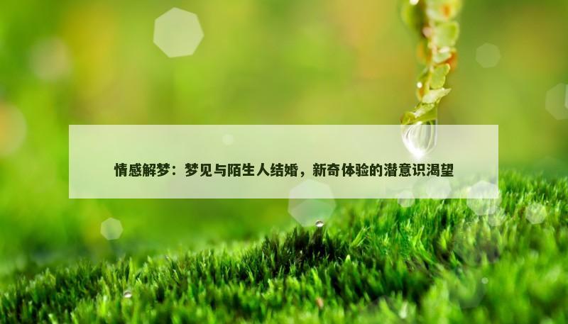 情感解梦：梦见与陌生人结婚，新奇体验的潜意识渴望