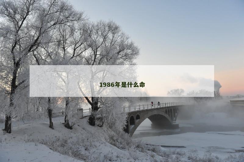 1986年是什么命