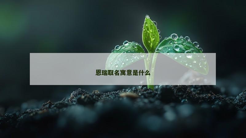 恩瑞取名寓意是什么