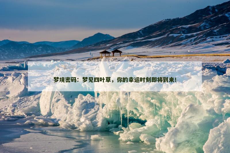 梦境密码：梦见四叶草，你的幸运时刻即将到来！