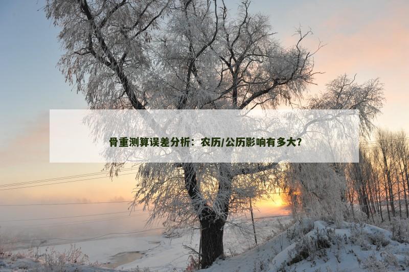 骨重测算误差分析：农历/公历影响有多大？