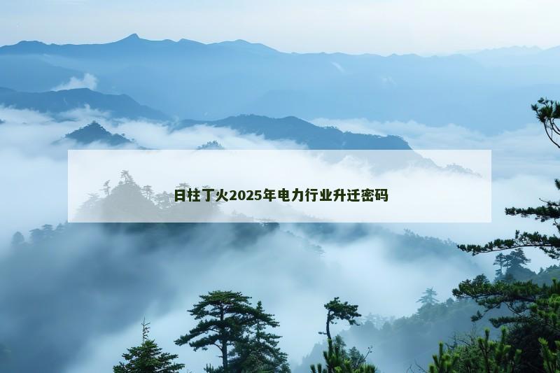 日柱丁火2025年电力行业升迁密码