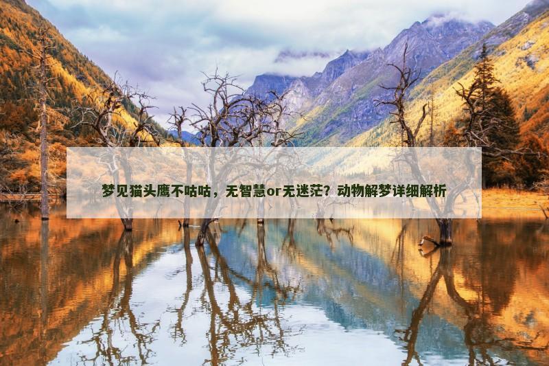 梦见猫头鹰不咕咕，无智慧or无迷茫？动物解梦详细解析