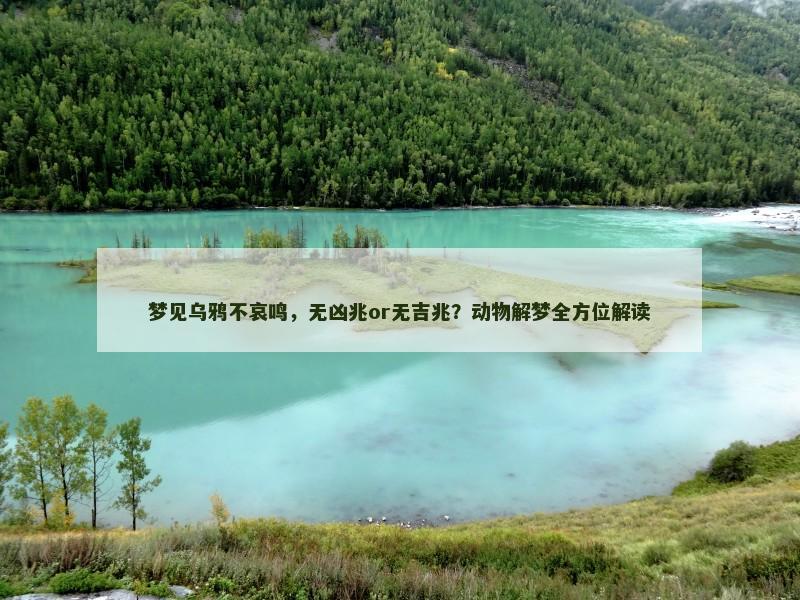 梦见乌鸦不哀鸣，无凶兆or无吉兆？动物解梦全方位解读