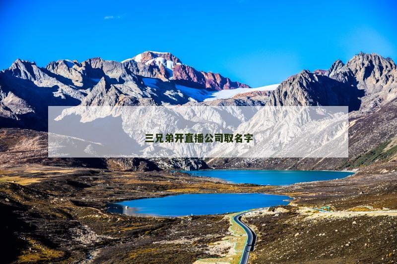 三兄弟开直播公司取名字