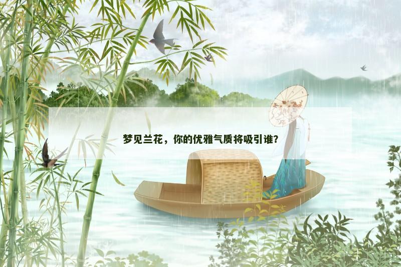 梦见兰花，你的优雅气质将吸引谁？