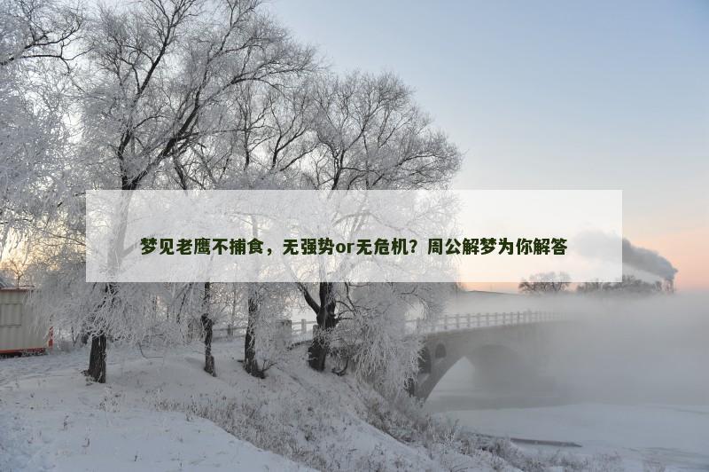 梦见老鹰不捕食，无强势or无危机？周公解梦为你解答