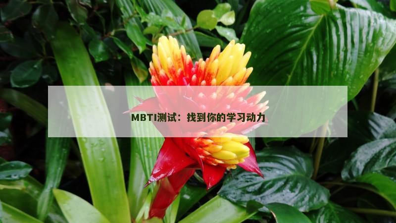 MBTI测试：找到你的学习动力