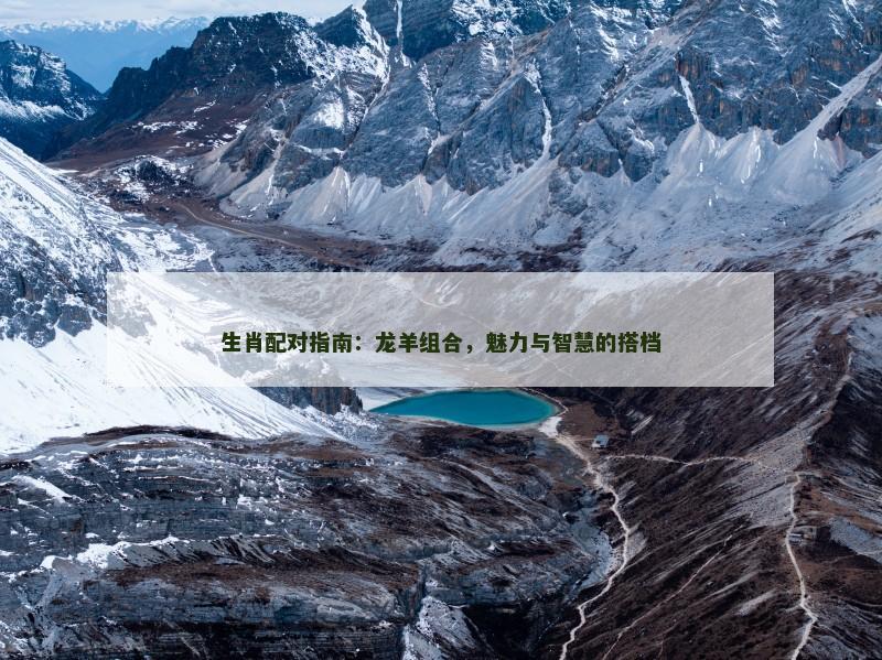 生肖配对指南：龙羊组合，魅力与智慧的搭档