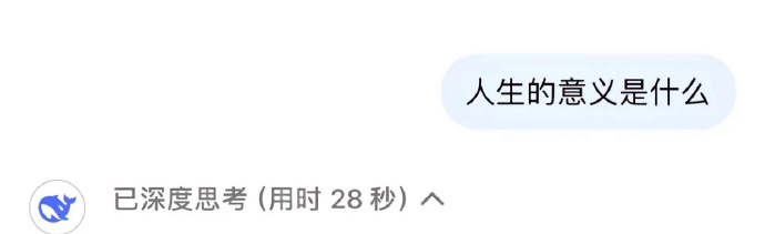 DeepSeek回答如何过好这一生
