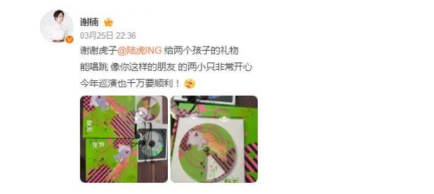 谢楠感谢陆虎给孩子送CD :两小只非常开心