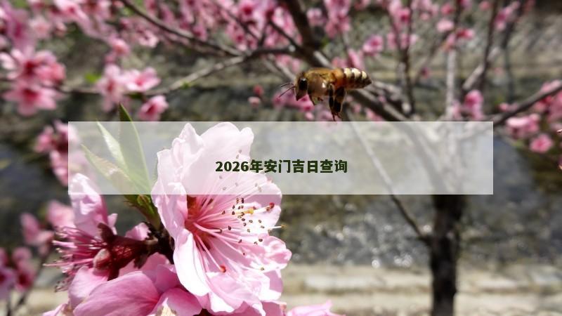 2026年安门吉日查询