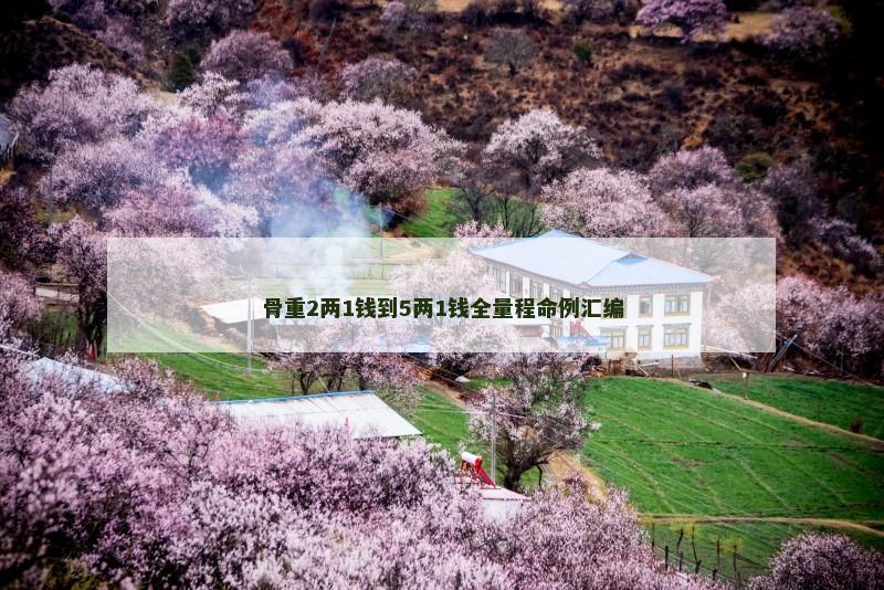 骨重2两1钱到5两1钱全量程命例汇编