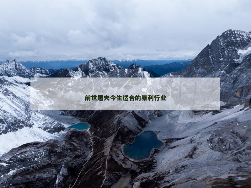 前世屠夫今生适合的暴利行业