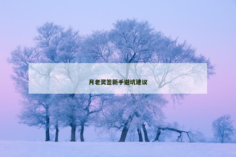 月老灵签新手避坑建议