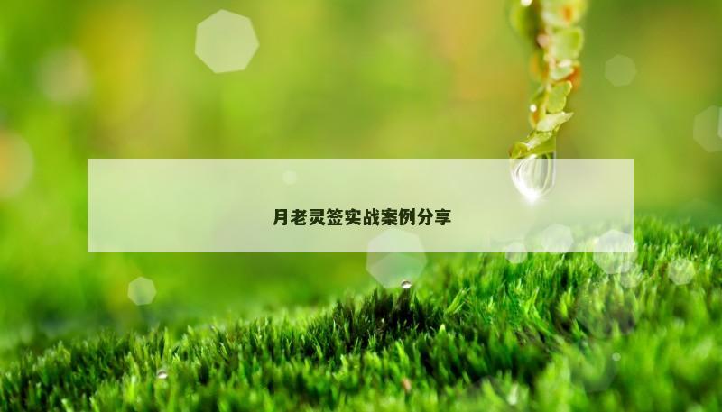 月老灵签实战案例分享