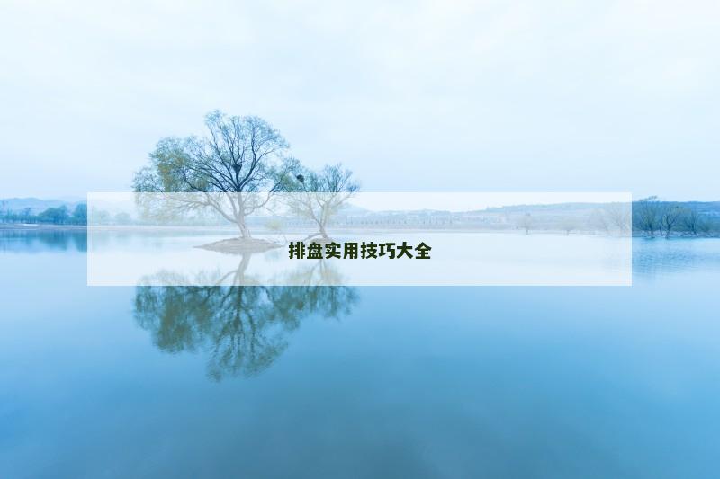 排盘实用技巧大全