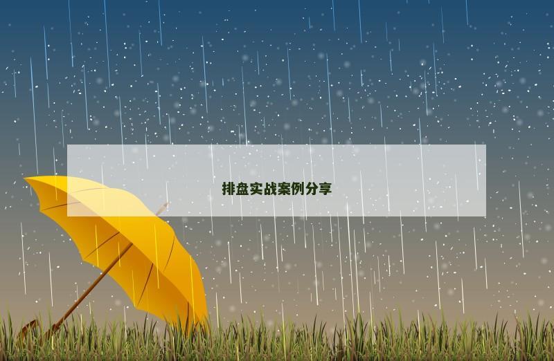 排盘实战案例分享