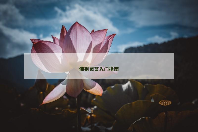 佛祖灵签入门指南