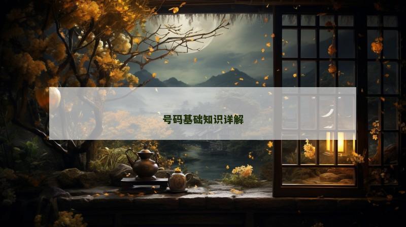号码基础知识详解