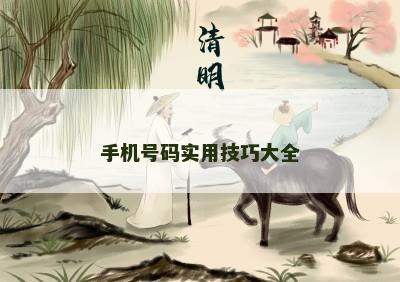 手机号码实用技巧大全