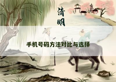 手机号码方法对比与选择